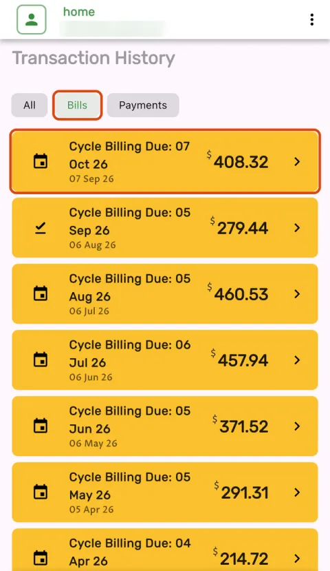 The Transaction History screen in the BEL 24/7 app with the Bills tab picked, showing one bill per month